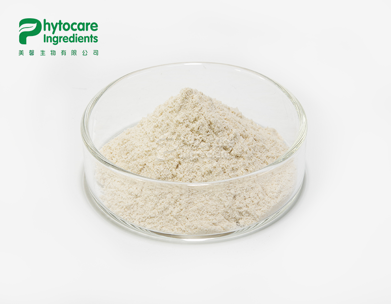 Neutral Protease Powder